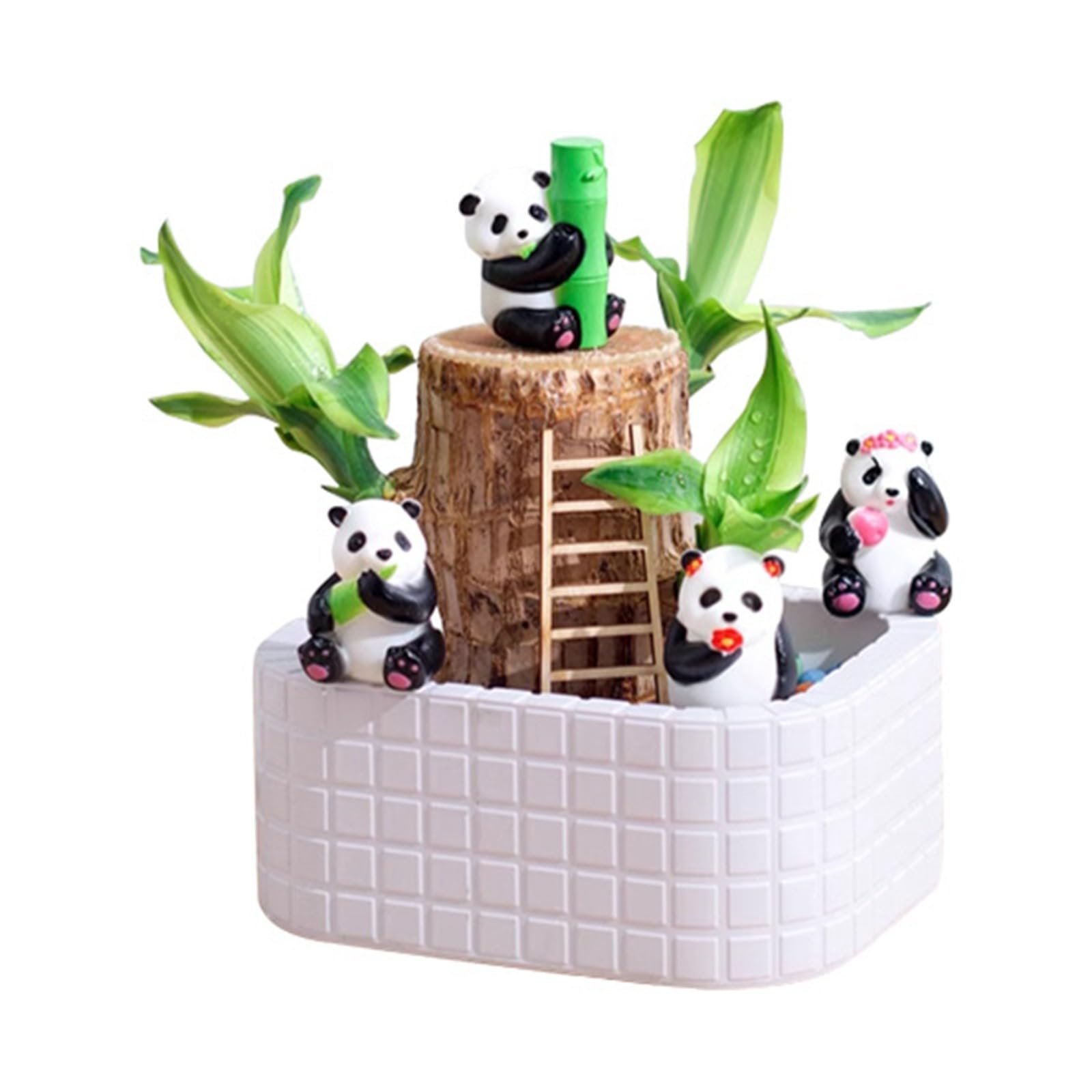 Amazon.com: 2025 Brazilian Wood Plant with 4 PCS Panda Statue